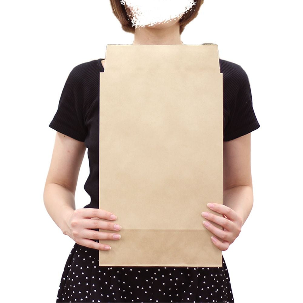 宅配袋B4サイズの画像