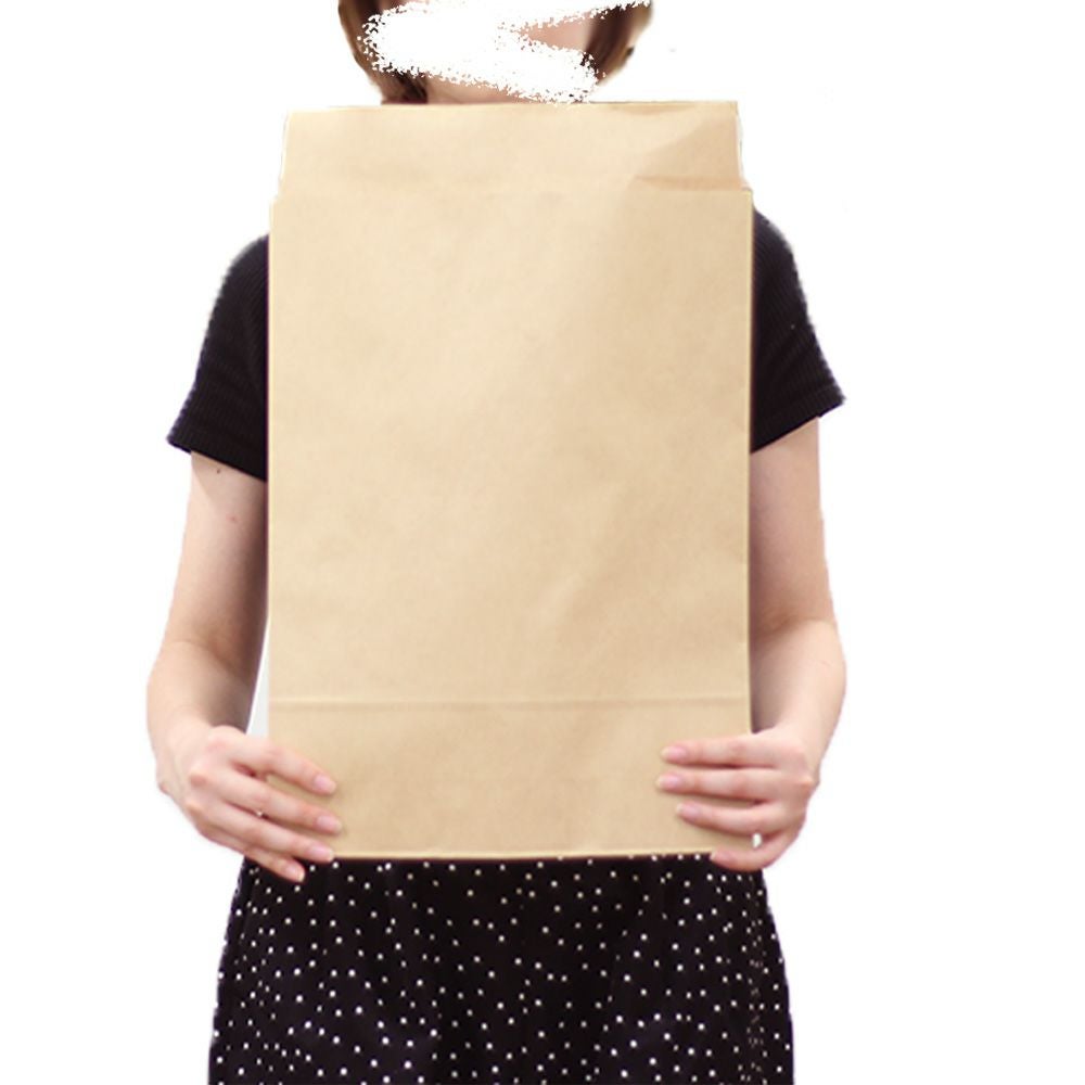 宅配袋を持った女性の画像