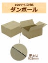 100サイズダンボールを空けた画像