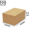 ダンボール100サイズ画像